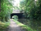 Canal Bridge 81