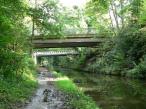 Grand Union Canal and Bridge 79 - Elmdon Heath Bridge